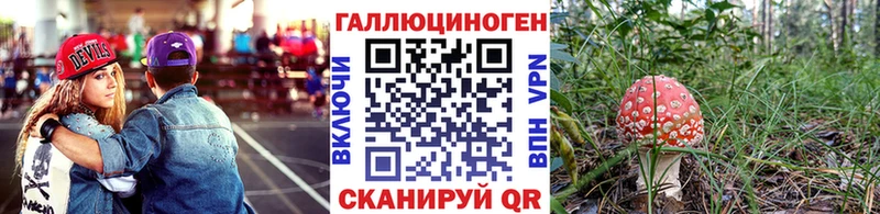 наркота  Бавлы  блэк спрут рабочий сайт  Псилоцибиновые грибы Cubensis 